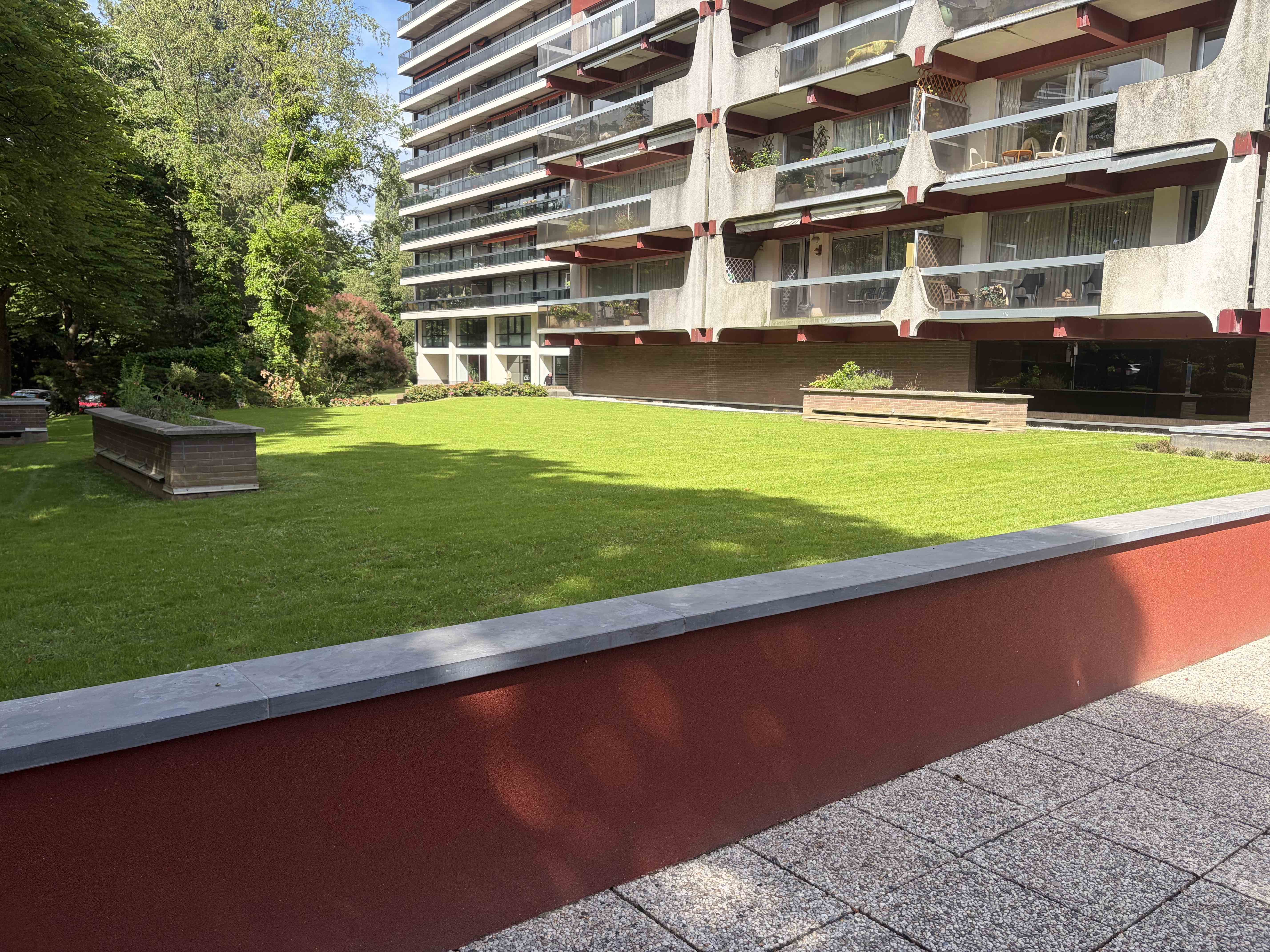 Entretien de jardin - Image 2